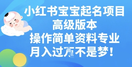 小红书宝宝起名项目高级版本,操作简单,资料专业,月入过W-轻创终点站