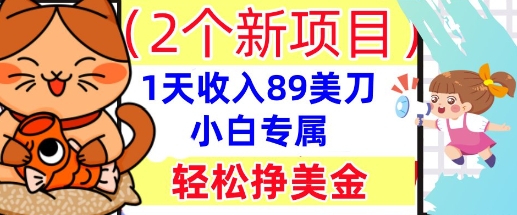 2个新项目,轻松挣美金, 1天收入89美刀,小白专属,干货分享-轻创终点站